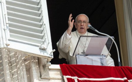 Pope Francis laments “reactionary,” politicised, US Catholic Church