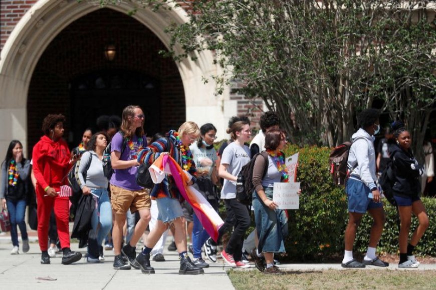 Florida effectively bans advanced psychology course over LGBTQ content – course developer