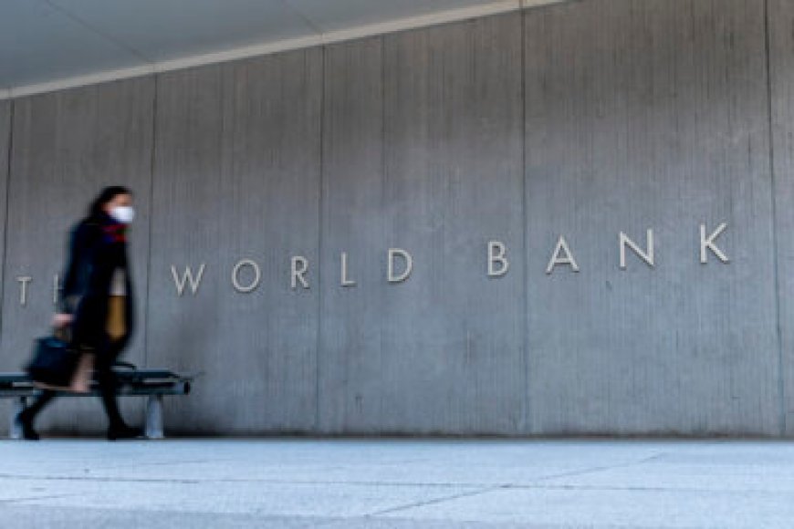 World Bank halts lending to Uganda over anti-LGBTQ law