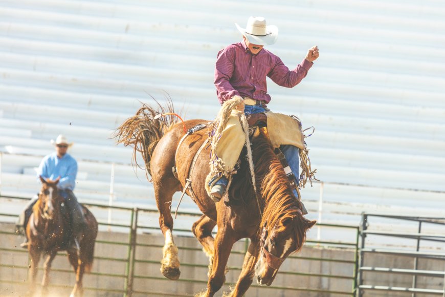 Republicans are losing their sh*t over imaginary gay cowboys riding bareback in Wyoming