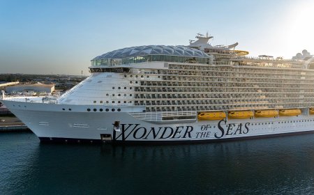 Texas Teen Still Missing After Going Overboard From Cruise Ship