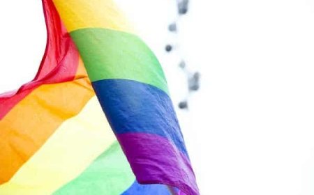 Hong Kong court rules in favour of same-sex relationships; falls short of granting marriage rights