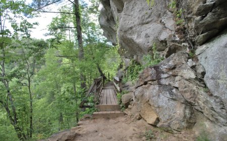 Women’s Survival Skills: Mastering the Outdoors