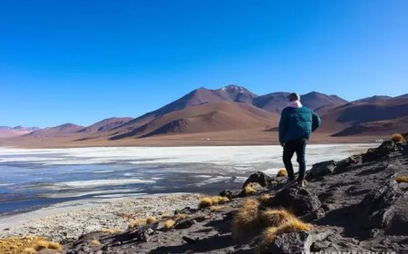 Visiting Bolivia’s Laguna Colorada (Red Lagoon) – Keep Calm and Wander