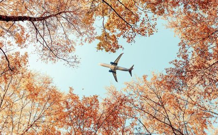 Big Savings on Airline Tickets Coming for Fall