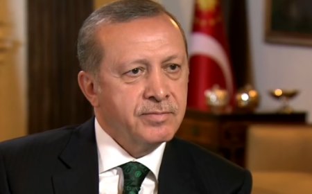 Erdogan Complains He Saw “LGBT Colors” At UN
