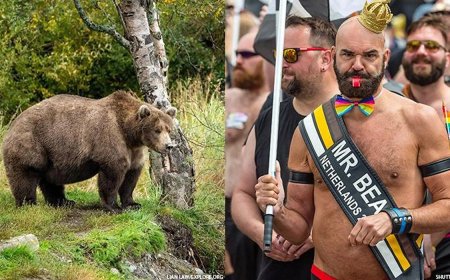 It’s Fat Bear Week – Here’s How You Can Weigh In With Your Vote