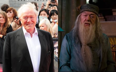 Michael Gambon, Dumbledore Actor in the ‘Harry Potter’ Franchise, Dies at 82