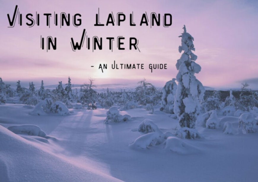 Lesbian Lapland in the Winter – Our Taste for Life