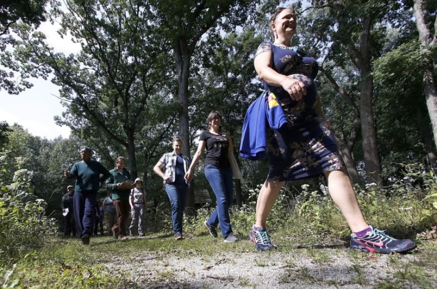 ‘New way of looking at nature’: These naturalists explore queer ecology with geese, owls and more