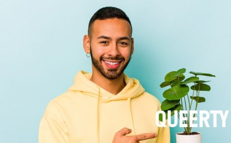 The internet is abloom with hilarious posts about gays and their houseplants