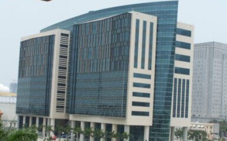 Federal court rejects challenge to Florida’s anti-trans sports law