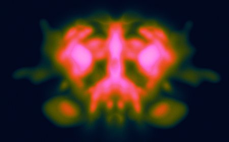 Welcome to queertopia