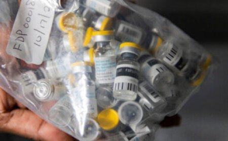 UN confirms sexual spread of mpox in Congo for the first time