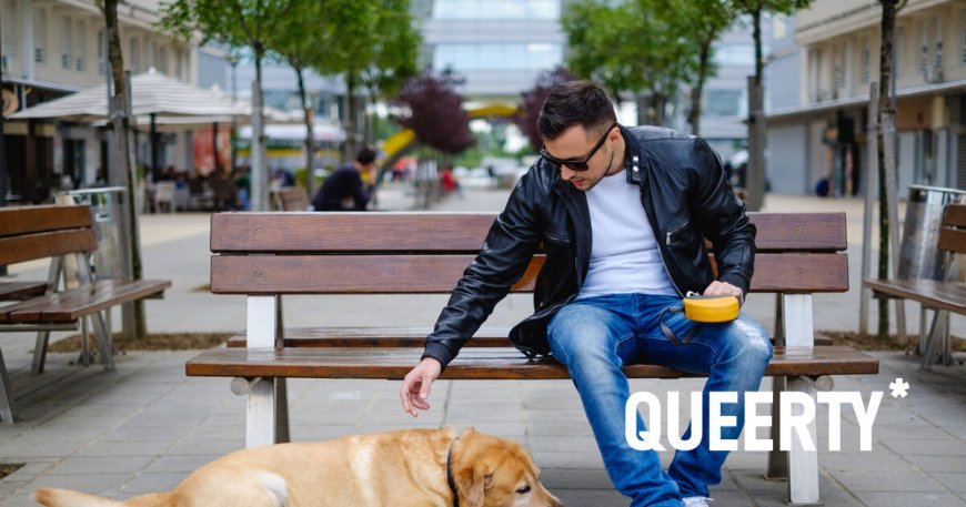 Gay bro says his dog stopped respecting him after watching him bottom