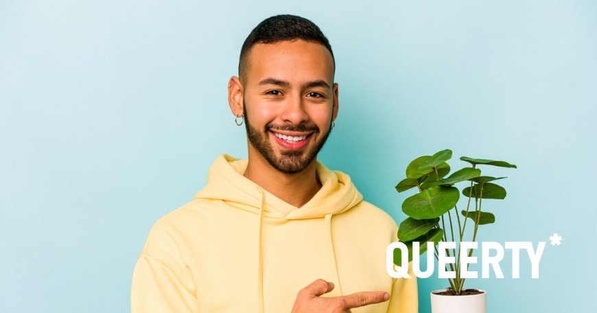 The internet is abloom with hilarious posts about gays and their houseplants