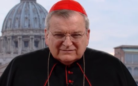 Pope Francis Strips Anti-LGBTQ American Cardinal Of His Vatican Apartment And Salary For Public “Disunity”