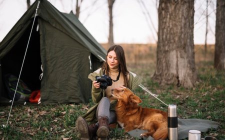 6 Tips for Planning the Ultimate Camping Trip with Your Dog