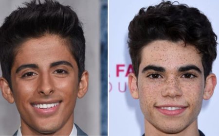 Disney Star Karan Brar Comes Out as Bisexual and Addresses His Battle With Alcohol and Depression
