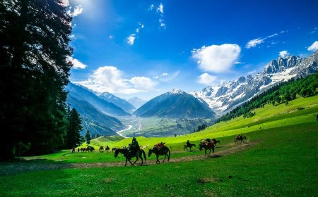 10 Best camping places for women in India