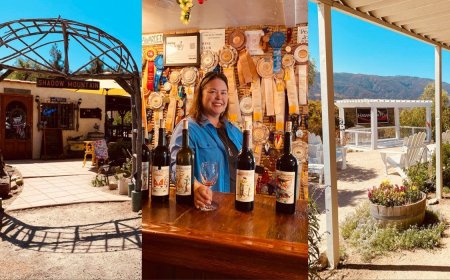 Discover the Hidden Wineries of Warner Springs