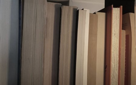 Massachusetts cop with body-cam searches middle school for LGBTQ-themed book: report