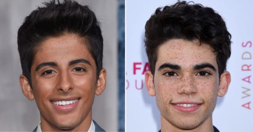 Disney Star Karan Brar Comes Out as Bisexual and Addresses His Battle With Alcohol and Depression