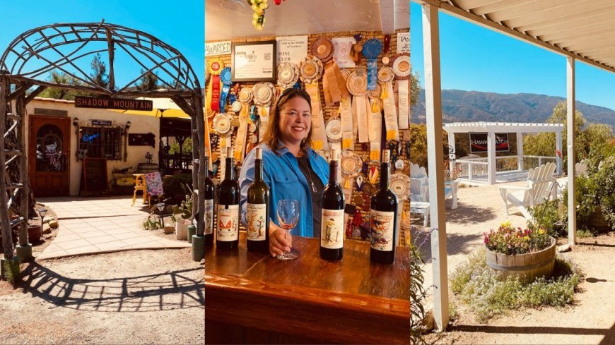 Discover the Hidden Wineries of Warner Springs