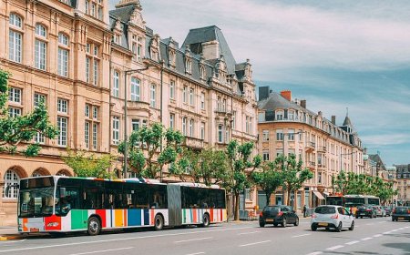 From pollution-driven penis growth to free public transport: Euronews Green’s top stories of 2023