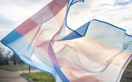 Nassau County Executive Bans Transgender Athletes From Competing In County-Run Facilities