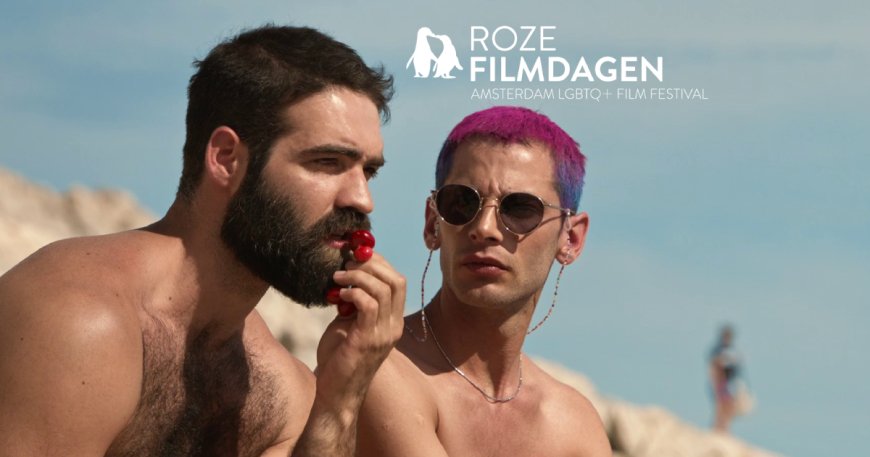Top 15 Best Gay Movies 2024 for Roze Filmdagen in Amsterdam