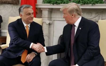 ‘Modern day Hitler’: Experts sound alarm over Trump heaping praise on ‘autocrat’ Orbán