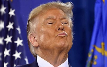 Voters now ‘questioning Trump’s sanity’: conservative pollster