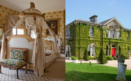 Emerald elegance: unveiling Ireland’s premier countryside hideaways