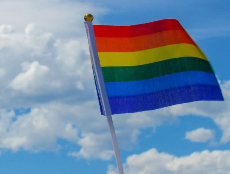 Unlike Florida, Tennessee Is Poised To Ban Pride Flags In Public Schools