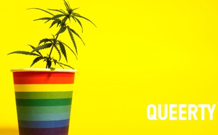 4/20 is just around the corner & we’ve got good brain health news for all you cannabis users