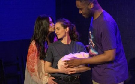 ‘Sperm Donor Wanted’ review: And baby makes five?