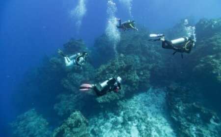 Trans-led scuba diving company caters to queer travelers