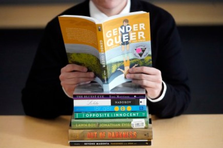 Report: LGBTQ titles lead growing list of banned books in US