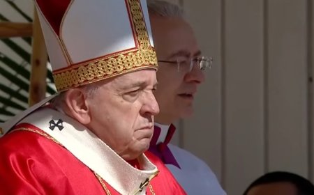 Pope Used “Vulgar” Italian Word To Describe Gays