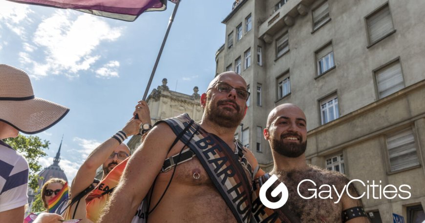 Redditors share the best gay bear events in Europe this summer