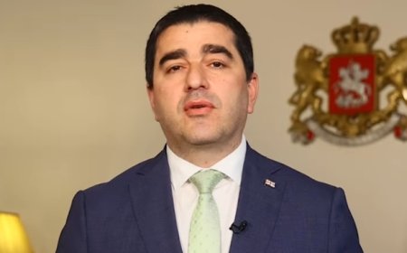 Country Of Georgia Moves To Criminalize All LGBTQ Events, Ban All LGBTQ Rights, Erase LGBTQs In Media