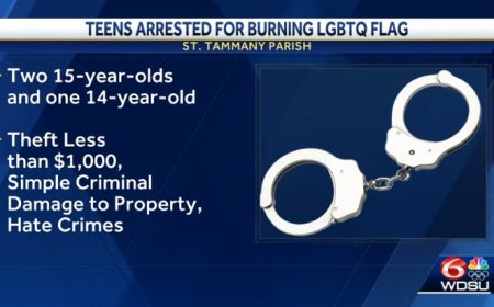 Teens Charged For Stealing And Burning Pride Flag