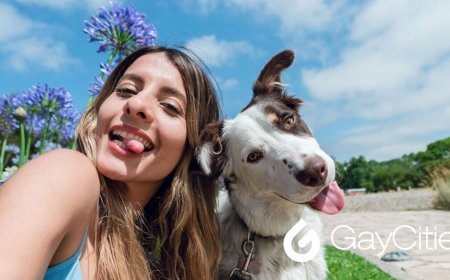 6 places to go with your dog for a paws-itively good time