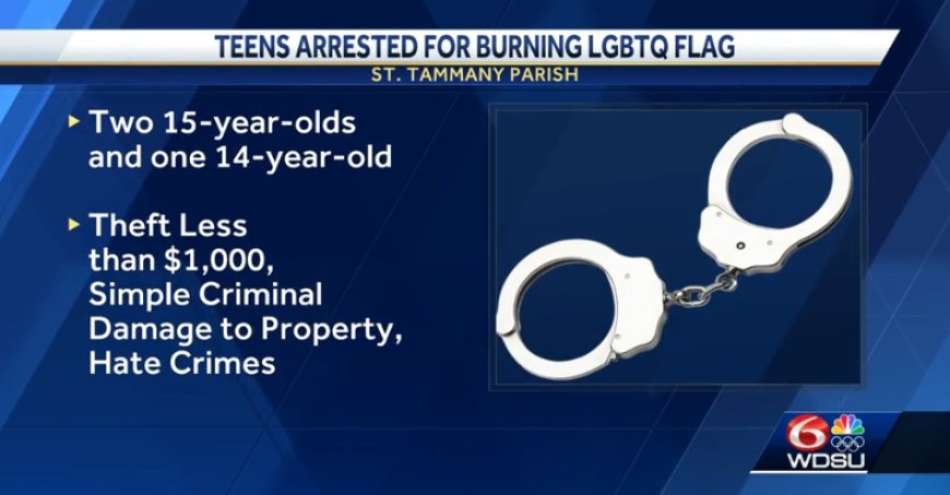 Teens Charged For Stealing And Burning Pride Flag