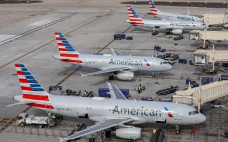 American Airlines mistakenly puts lesbian on no-fly list for ‘sexual relations’ with a man