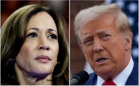 Poll: LGBTQ voters are motivated and strongly favor Harris over Trump