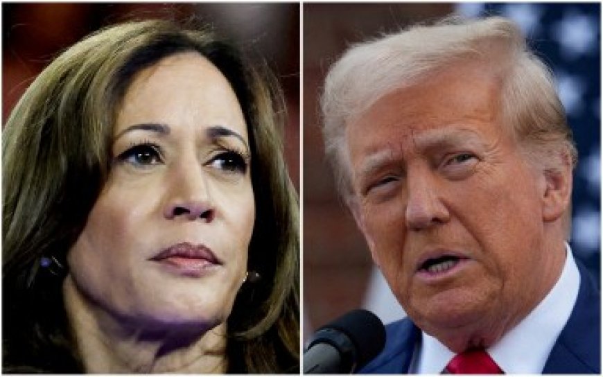 Poll: LGBTQ voters are motivated and strongly favor Harris over Trump