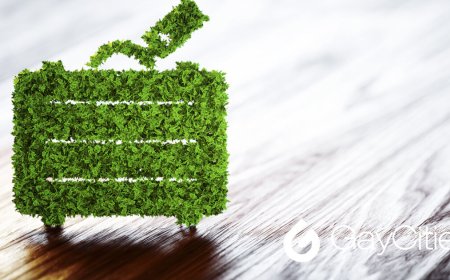 Sustainable journeys: top tips for eco-friendly travel