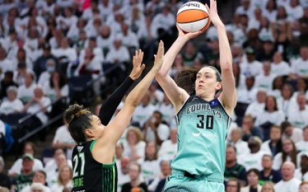 Liberty star Breanna Stewart faces homophobic threat during WNBA finals